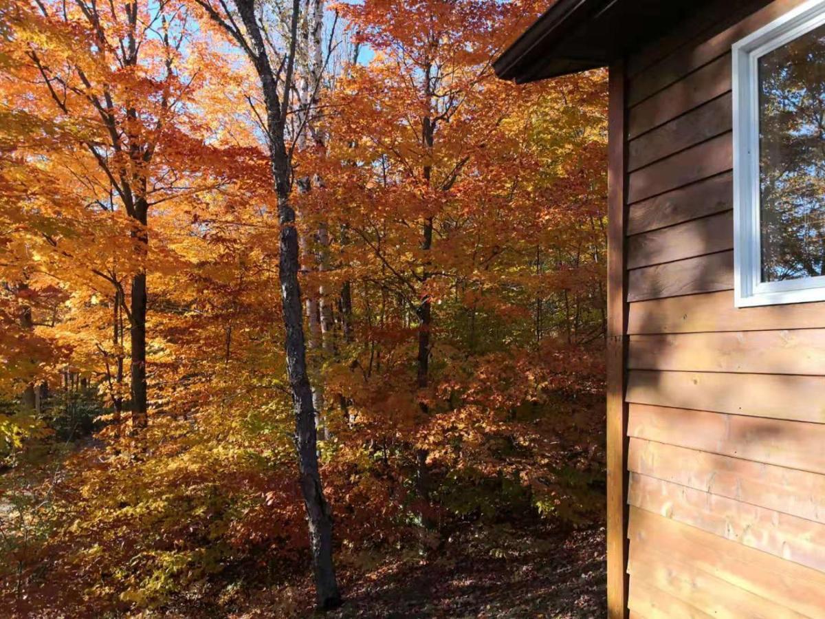 Sunny Point Resort Otter Lake Экстерьер фото